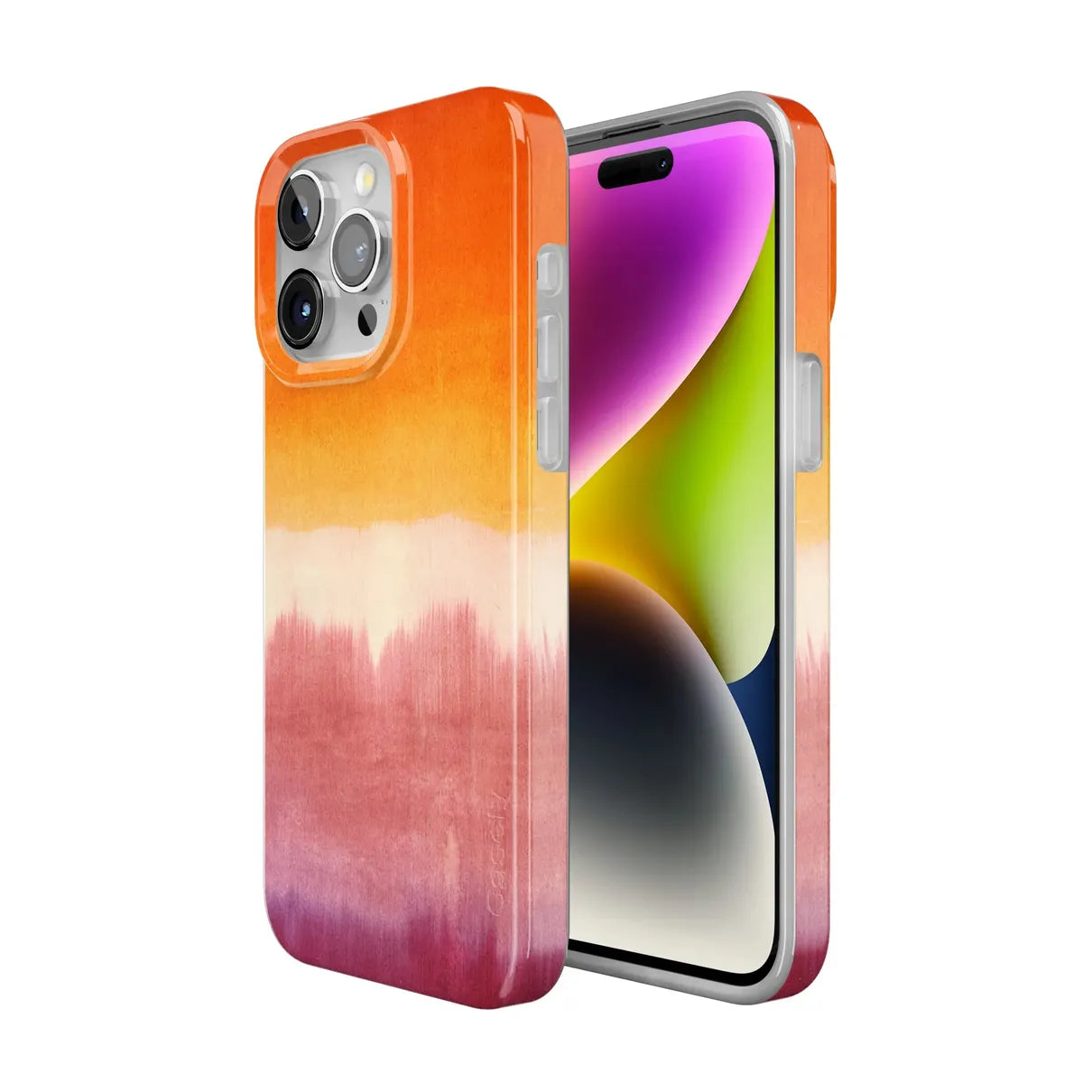 Last Light | Sunwashed Canvas Case