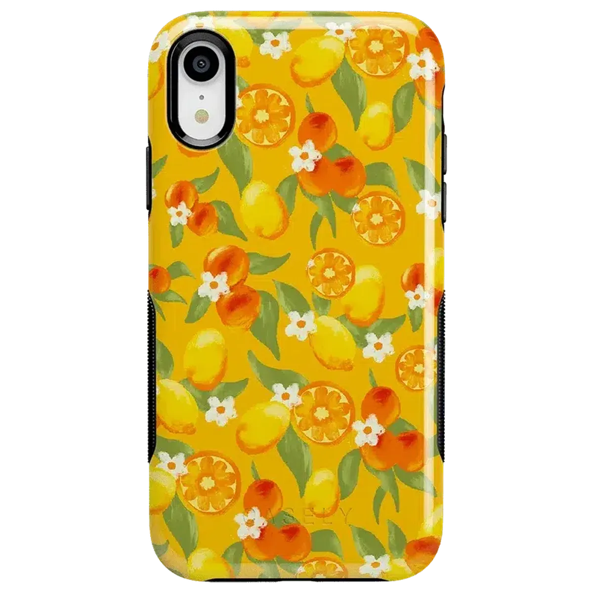 Positano | Dippin' Daisy's Italian Coast Case iPhone Case get.casely Bold iPhone XR