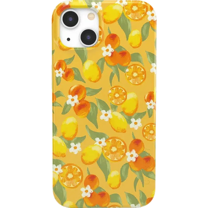 Positano | Dippin' Daisy's Italian Coast Case iPhone Case get.casely Classic iPhone 13 Mini